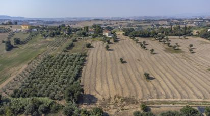 Terreno di 9.516 m² in Osimo (60027)