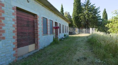 Other surface of 6,799 m² in Panicale (06064)