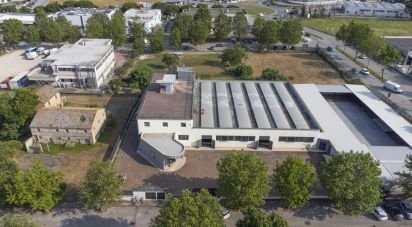 Palazzo / Stabile di 3.200 m² in Porto Sant'Elpidio (63821)