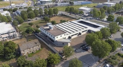 Palazzo / Stabile di 3.200 m² in Porto Sant'Elpidio (63821)