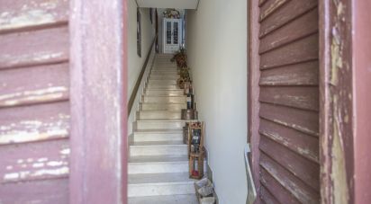 Building 5 rooms of 92 m² in Potenza Picena (62018)