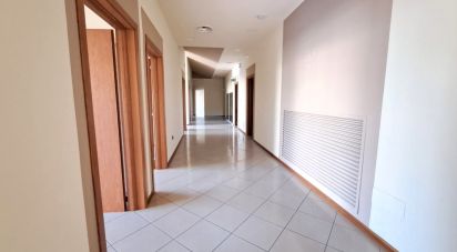 Pareti commerciali di 300 m² in Badia Polesine (45021)