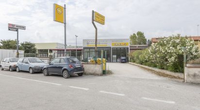 Warehouse of 500 m² in Loreto (60025)