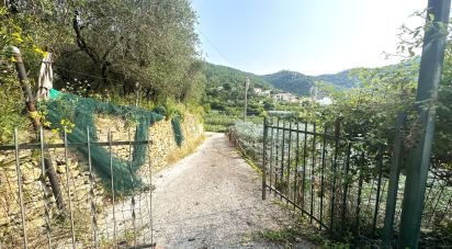 Land of 7,500 m² in Loano (17025)