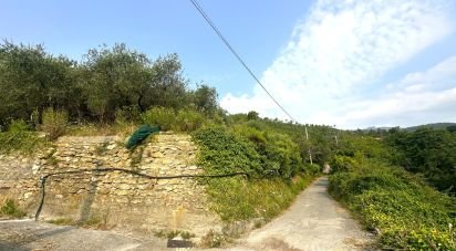 Land of 7,500 m² in Loano (17025)
