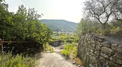 Land of 7,500 m² in Loano (17025)