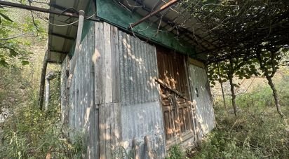 Land of 7,500 m² in Loano (17025)