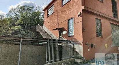 Varie superfici di 3.619 m² in Mele (16010)