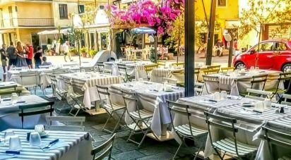 Attività locali di 350 m² in Moneglia (16030)