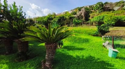 Casale 12 locali di 250 m² in Monte di Procida (80070)