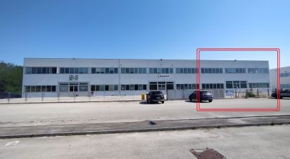 Warehouse of 915 m² in Osimo (60027)