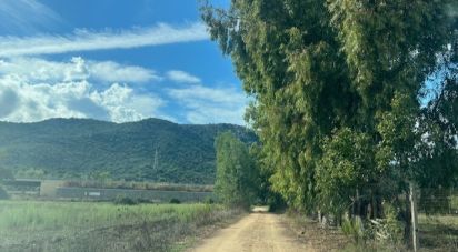 Terreno di 9.683 m² in Tortolì (08048)