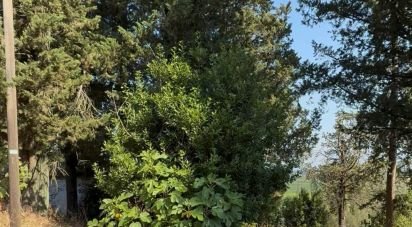 Casa indipendente 20 locali di 1.180 m² in Bucine (52020)