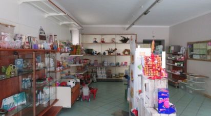 Negozio / locale commerciale di 113 m² in Villar Pellice (10060)