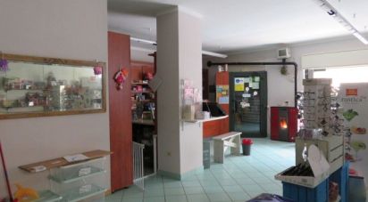 Negozio / locale commerciale di 113 m² in Villar Pellice (10060)