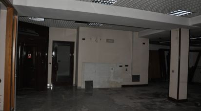 Negozio / locale commerciale di 270 m² in Moncalieri (10024)