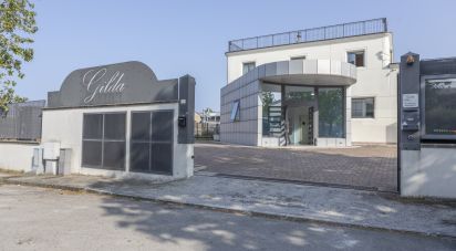 Shop / premises commercial of 1,150 m² in Porto Sant'Elpidio (63821)
