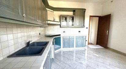 Casale 9 locali di 248 m² in Stienta (45039)