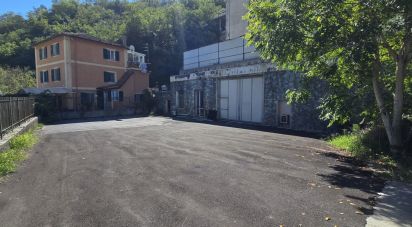 Capannone di 1.400 m² in Genova (16165)