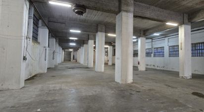 Capannone di 1.400 m² in Genova (16165)