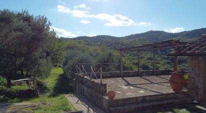 Townhouse 10 rooms of 550 m² in Figline Valdarno (50063)