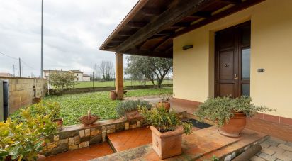House 7 rooms of 130 m² in Cascina (56023)