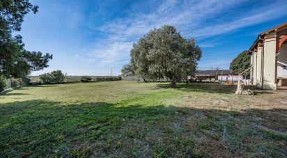 House 9 rooms of 357 m² in Jolanda di Savoia (44037)