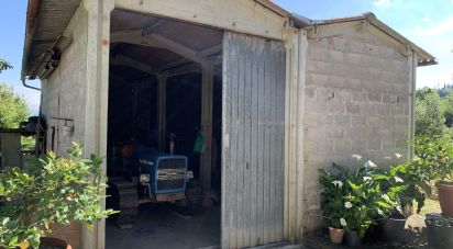 Farm 9 rooms of 203 m² in Montepulciano (53045)