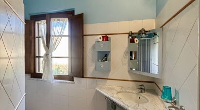 Farm 9 rooms of 239 m² in Volterra (56048)