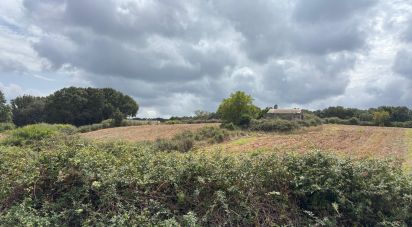 Terreno di 0 m² in Martina Franca (74015)