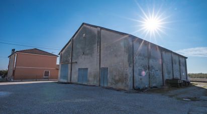 House 7 rooms of 280 m² in Copparo (44034)