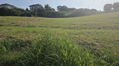 Terreno agricolo di 12.280 m² in San Benedetto del Tronto (63074)