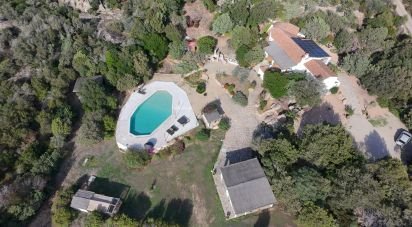 Casa indipendente / Villa 10 locali di 220 m² in Arzachena (07021)