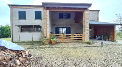 Casa indipendente / Villa 8 locali di 220 m² in Villanova Marchesana (45030)