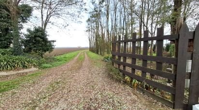 Casa indipendente / Villa 8 locali di 220 m² in Villanova Marchesana (45030)