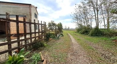 Casa indipendente / Villa 8 locali di 220 m² in Villanova Marchesana (45030)