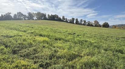 Land of 25,000 m² in Apecchio (61042)