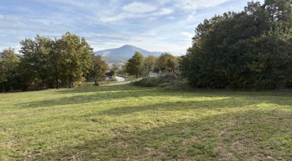 Land of 25,000 m² in Apecchio (61042)