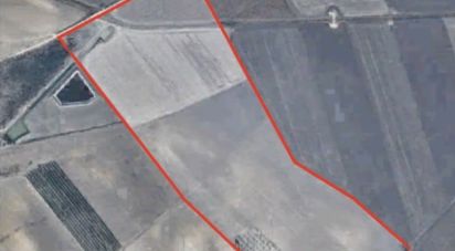 Terreno di 195.600 m² in Manfredonia (71043)