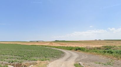 Terreno di 195.600 m² in Manfredonia (71043)