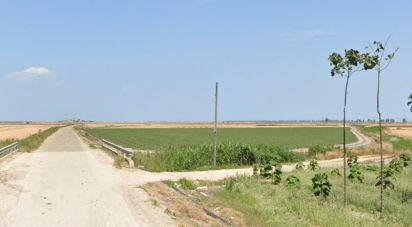 Terreno di 195.600 m² in Manfredonia (71043)