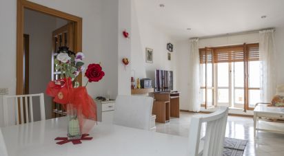 Costruzione di 502 m² in Osimo (60027)