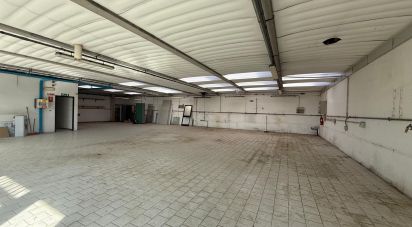 Warehouse of 340 m² in Arezzo (52100)