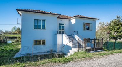 House 7 rooms of 200 m² in Migliarino (44027)