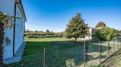 House 7 rooms of 200 m² in Migliarino (44027)