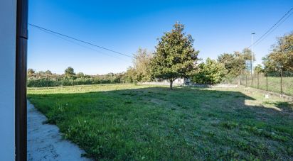 House 7 rooms of 200 m² in Migliarino (44027)