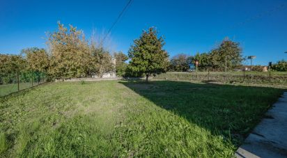 House 7 rooms of 200 m² in Migliarino (44027)