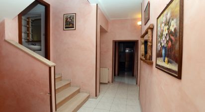 Appartamento 9 locali di 203 m² a Montecchio (05020)