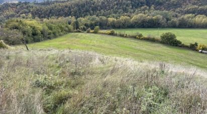 Terreno di 35.000 m² in Piobbico (61046)