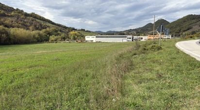 Terreno di 35.000 m² in Piobbico (61046)